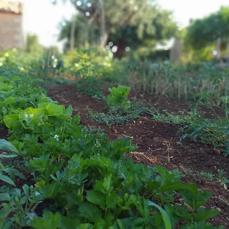 Casa Donna Razietta - Natura E Relax *